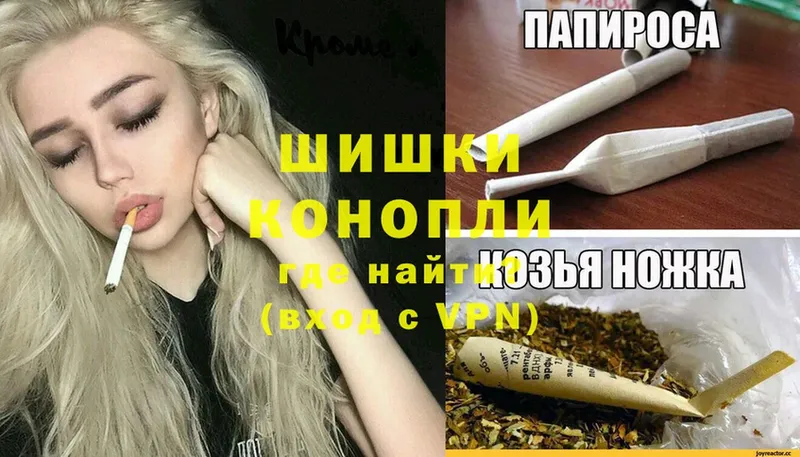 Шишки марихуана сатива  ссылка на мегу сайт  Горняк  продажа наркотиков 